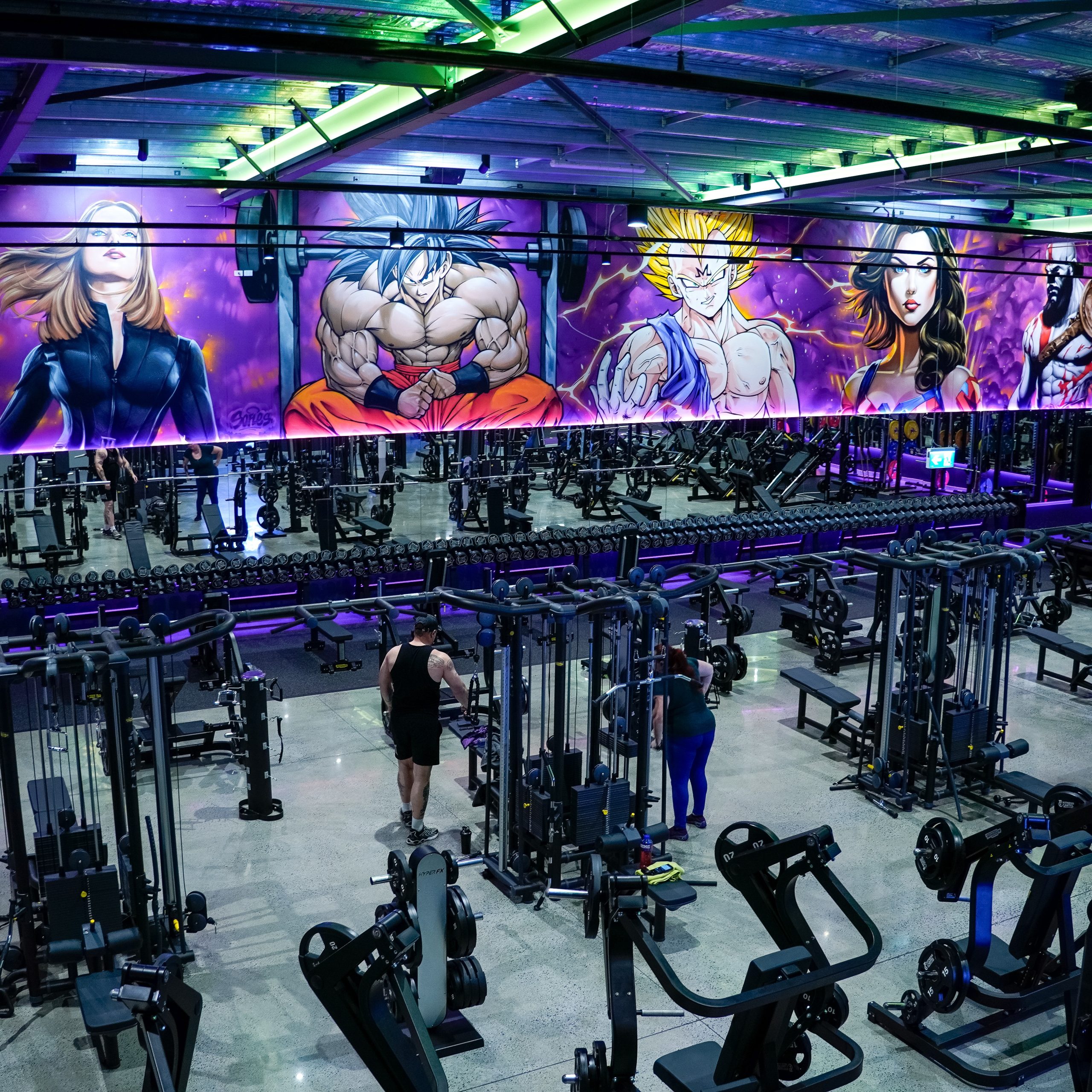 Holmview gym floor overview