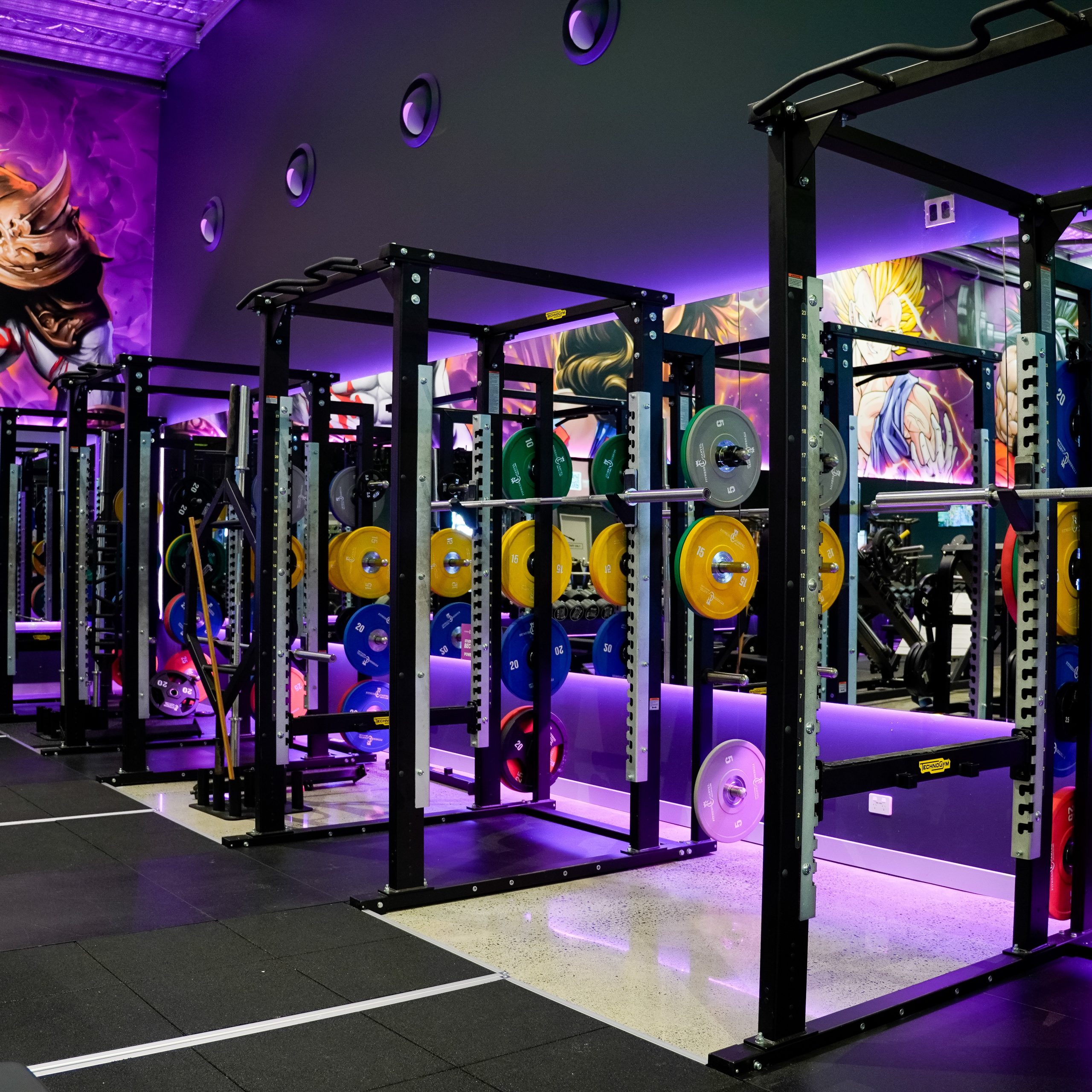 Holmview gym squat rack area