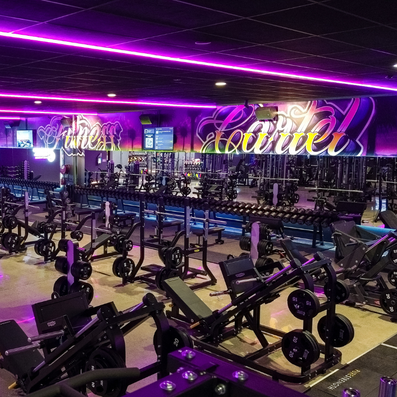 Interior image of the gym floor at a Fitness Cartel Health Clubs with gym machinery and vibrant purple lighting